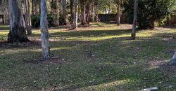 SDA in Burpengary East